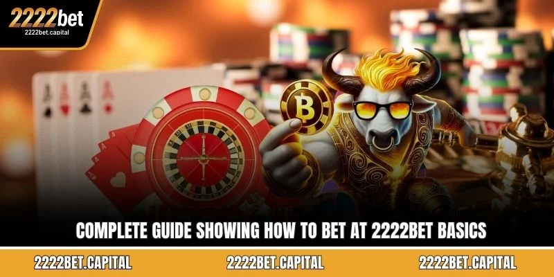 Complete guide showing how to bet at 2222BET basics