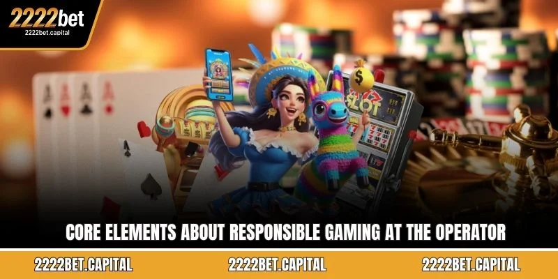 Core elements about Responsible Gaming at the operator